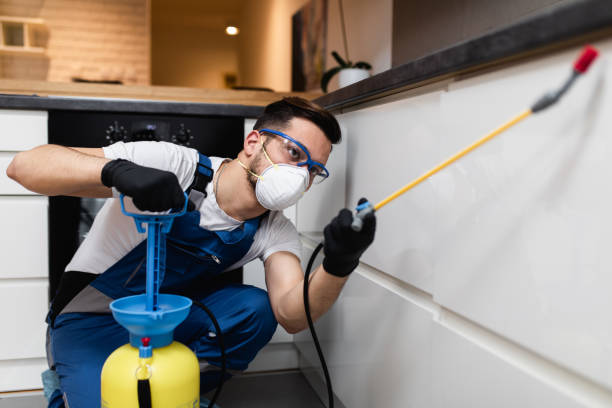 Best Mosquito Control Services  in Mvell, AR