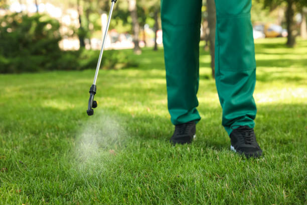 Best Cockroach Control Services  in Mvell, AR