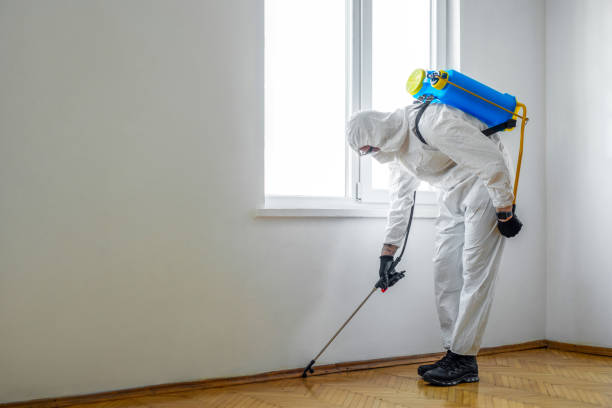 Best Rat Extermination Near Me  in Mvell, AR