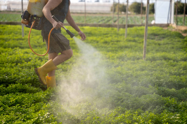 Best Wildlife Control Services  in Mvell, AR