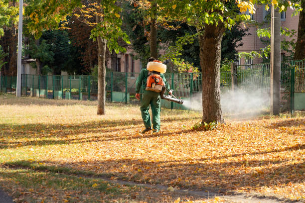 Best Emergency Pest Control  in Mvell, AR