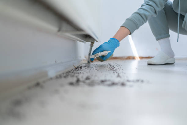 Best Mosquito Control Services  in Mvell, AR