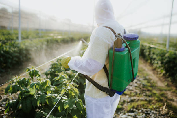 Best Pest Control Near Me  in Mvell, AR